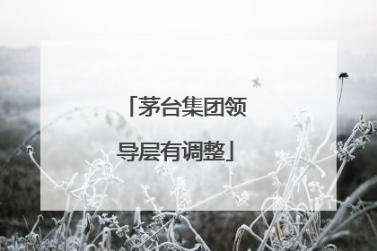 茅台集团领导层有调整