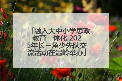 融入大中小学思政教育一体化 2025年长三角少先队交流活动在温岭举办