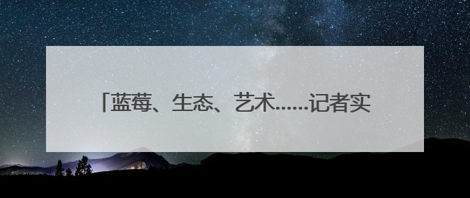 蓝莓、生态、艺术……记者实探张家楼乡村振兴“三重奏”