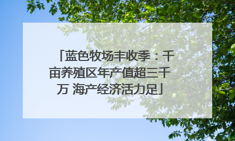 蓝色牧场丰收季：千亩养殖区年产值超三千万 海产经济活力足