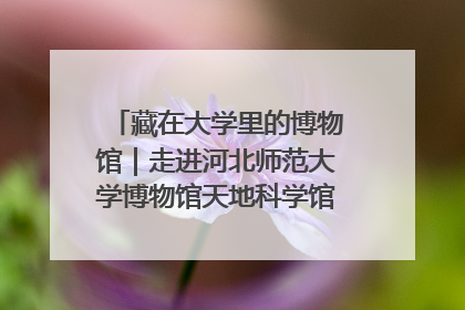 藏在大学里的博物馆｜走进河北师范大学博物馆天地科学馆：在校园里赴一场“宇宙之约”