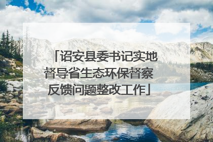 诏安县委书记实地督导省生态环保督察反馈问题整改工作