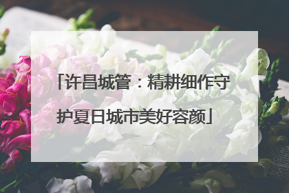 许昌城管：精耕细作守护夏日城市美好容颜