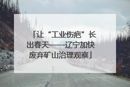 让“工业伤疤”长出春天——辽宁加快废弃矿山治理观察
