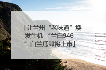 让兰州“老味道”焕发生机 “兰白946”白兰瓜即将上市