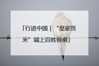 行进中国｜“皇家贡米”端上百姓餐桌