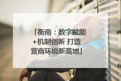 衡南：数字赋能+机制创新 打造营商环境新高地