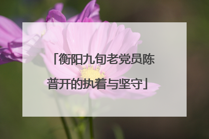衡阳九旬老党员陈普开的执着与坚守