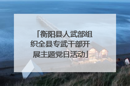 衡阳县人武部组织全县专武干部开展主题党日活动