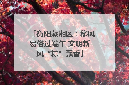 衡阳蒸湘区：移风易俗过端午 文明新风“粽”飘香
