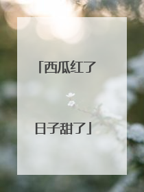 西瓜红了 日子甜了