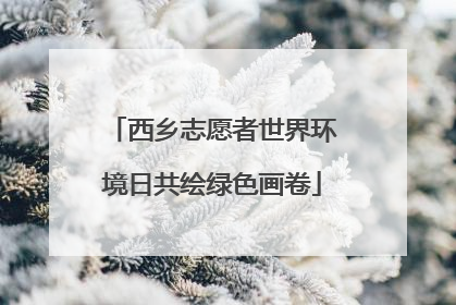 西乡志愿者世界环境日共绘绿色画卷