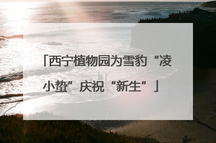 西宁植物园为雪豹“凌小蛰”庆祝“新生”