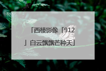 西楼影像「912」白云飘飘芒种天