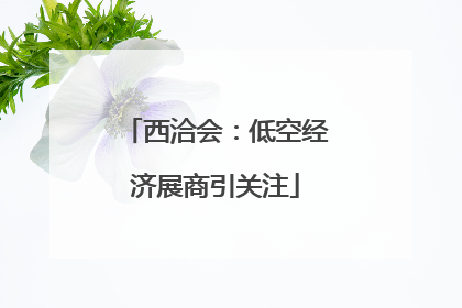 西洽会：低空经济展商引关注