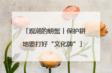 观潮的螃蟹丨保护耕地要打好“文化牌”