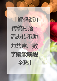 解码浙江传统村落：活态传承助力共富、数字赋能唤醒乡愁