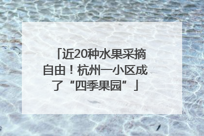 近20种水果采摘自由！杭州一小区成了“四季果园”