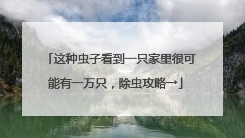 这种虫子看到一只家里很可能有一万只，除虫攻略→