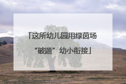 这所幼儿园用绿茵场“破题”幼小衔接