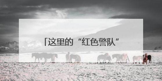 这里的“红色警队”交出一份亮眼答卷！