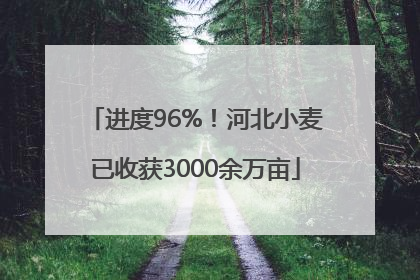 进度96%！河北小麦已收获3000余万亩