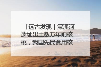 远古发现｜濛溪河遗址出土数万年前核桃，我国先民食用核桃历史大幅提前