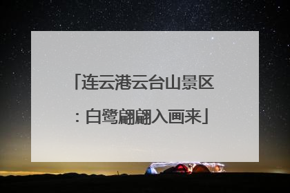 连云港云台山景区：白鹭翩翩入画来