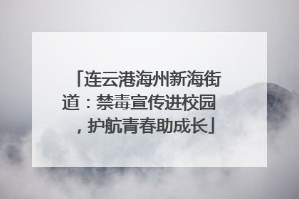 连云港海州新海街道：禁毒宣传进校园，护航青春助成长
