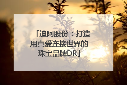 迪阿股份：打造用真爱连接世界的珠宝品牌DR