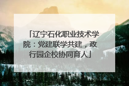 辽宁石化职业技术学院：党建联学共建，政行园企校协同育人