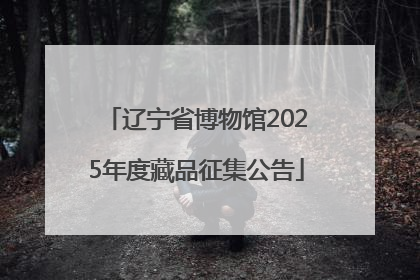 辽宁省博物馆2025年度藏品征集公告