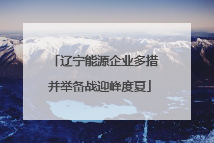 辽宁能源企业多措并举备战迎峰度夏