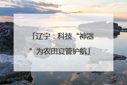 辽宁：科技“神器”为农田夏管护航