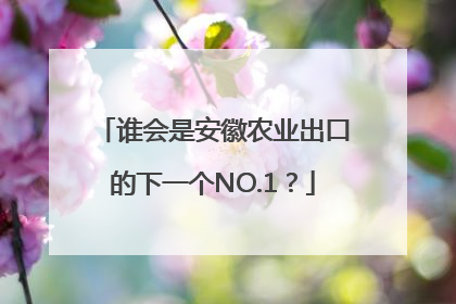 谁会是安徽农业出口的下一个NO.1？