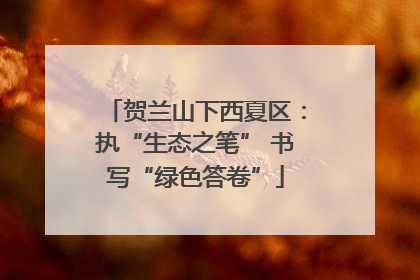 贺兰山下西夏区：执“生态之笔” 书写“绿色答卷”