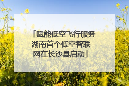 赋能低空飞行服务 湖南首个低空智联网在长沙县启动