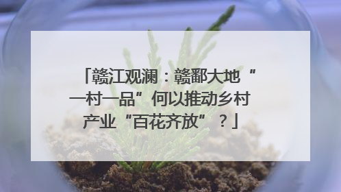 赣江观澜：赣鄱大地“一村一品”何以推动乡村产业“百花齐放”？