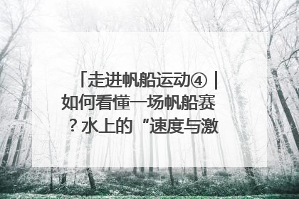 走进帆船运动④｜如何看懂一场帆船赛？水上的“速度与激情”同样精彩
