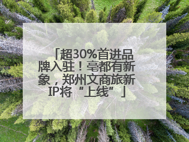 超30%首进品牌入驻！亳都有新象，郑州文商旅新IP将“上线”