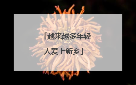 越来越多年轻人爱上新乡
