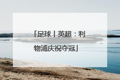 足球丨英超：利物浦庆祝夺冠
