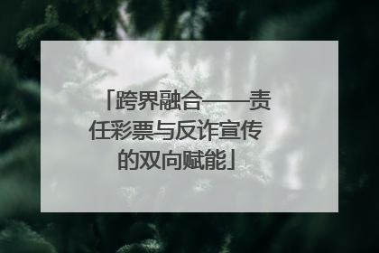 跨界融合——责任彩票与反诈宣传的双向赋能