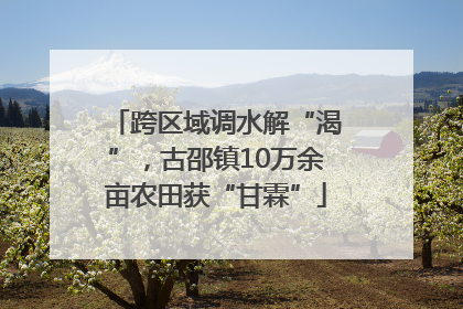 跨区域调水解“渴”，古邵镇10万余亩农田获“甘霖”