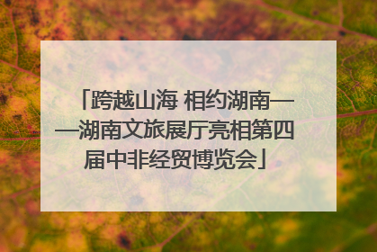 跨越山海 相约湖南——湖南文旅展厅亮相第四届中非经贸博览会