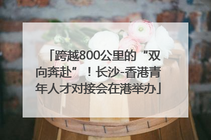 跨越800公里的“双向奔赴”！长沙-香港青年人才对接会在港举办