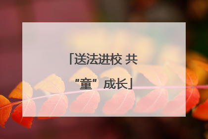 送法进校 共“童”成长