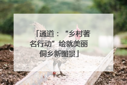 通道：“乡村著名行动”绘就美丽侗乡新图景