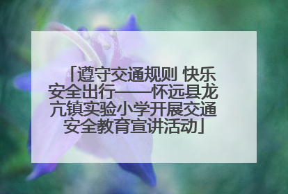 遵守交通规则 快乐安全出行——怀远县龙亢镇实验小学开展交通安全教育宣讲活动