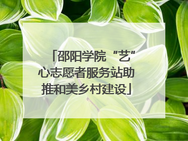邵阳学院“艺”心志愿者服务站助推和美乡村建设